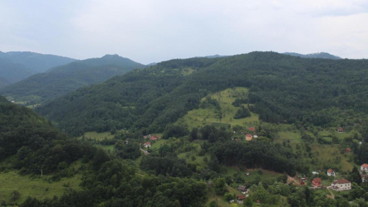 Sijakovic