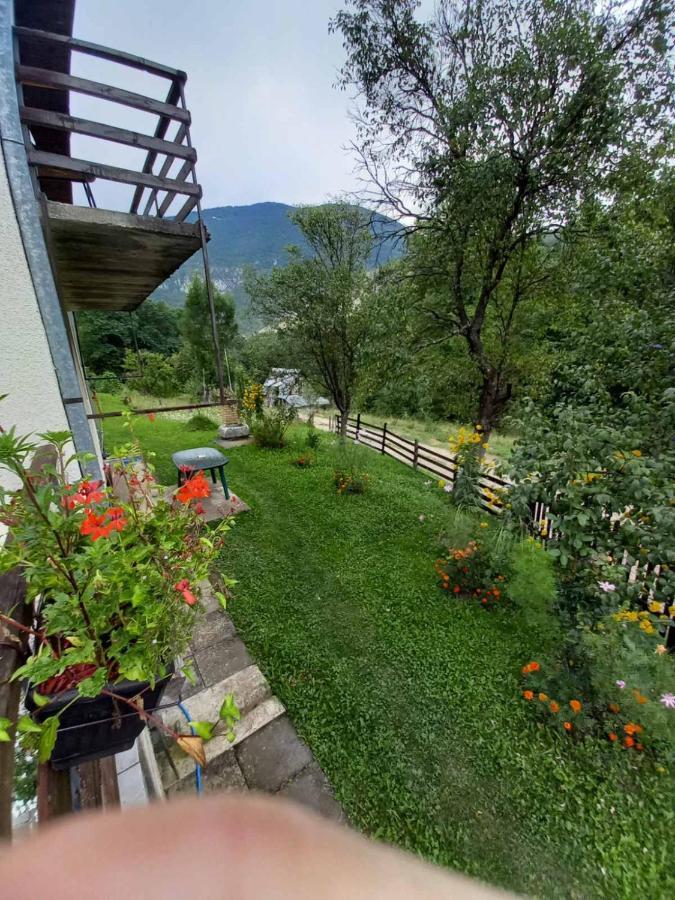 Sijakovic Apartman